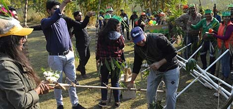Bridge Building Team Activity
