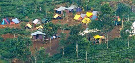 Camping Team Activity