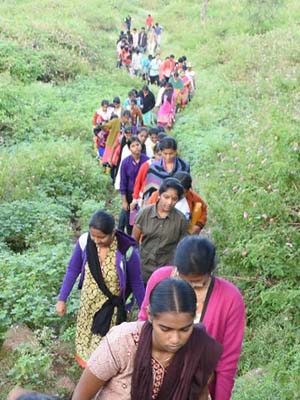 Wayanad Corporate Team Outing Places | Siegergroups.com