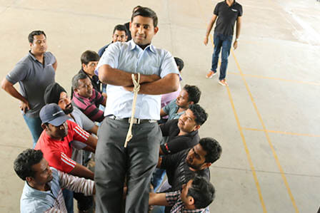 Trust Fall / Free Fall Team Building