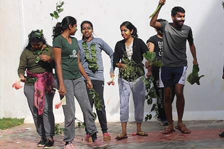 Tribal Survivor Team Building Challenge