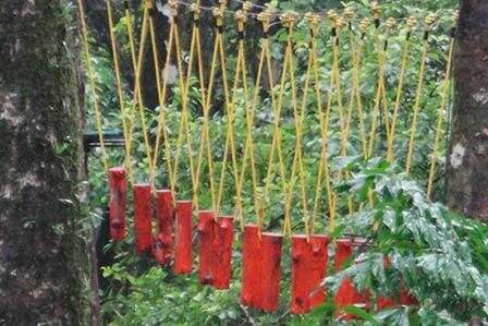 High Rope Team Building Courses