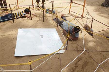 Low Rope Team Building Courses