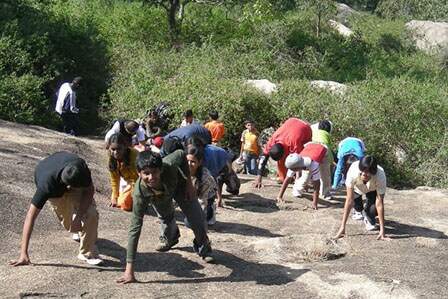 Forest Adventure Team Building Camp