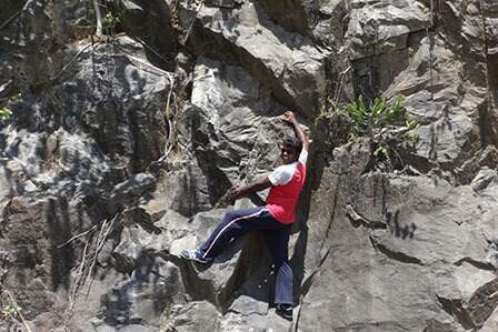 Forest Adventure Team Building Camp