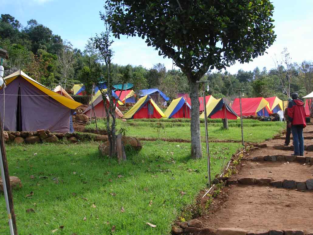 Camping and Tenting Team Building