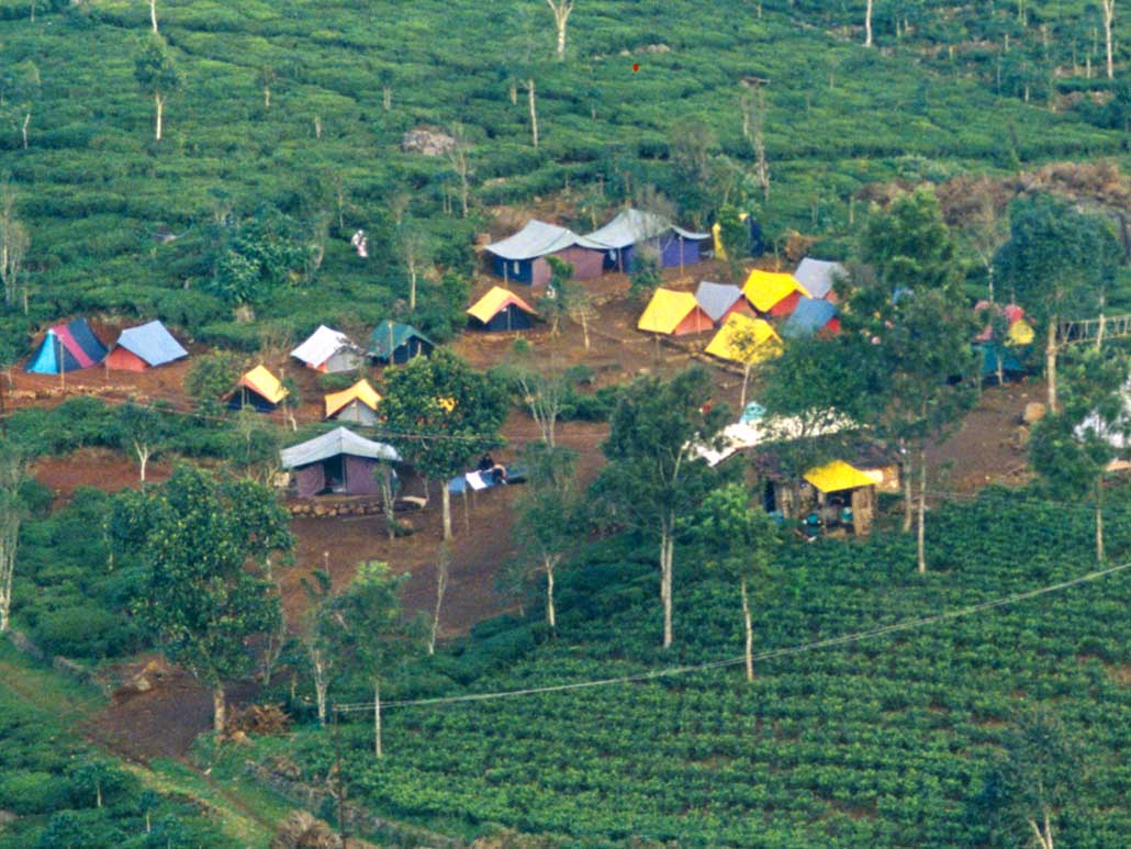 Camping and Tenting Team Building