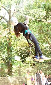 High Rope Team Building Courses
