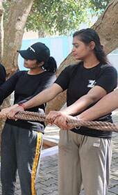 Low Rope Team Building Courses