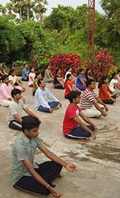 High Rope Team Building Courses