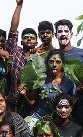 Tribal Survivor Team Building Challenge