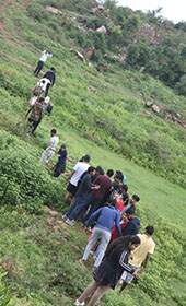 Chikmagalur Corporate Team Outing Places | Siegergroups.com