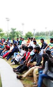 Leadership Offsite Forest