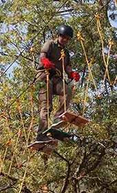 Decision Making Skills Training