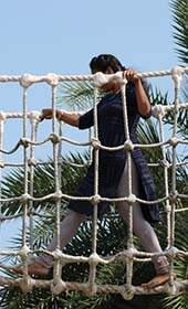 High Rope Team Building Courses