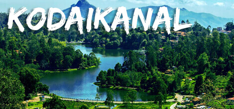 Team Building and Team Outing in Kodaikanal