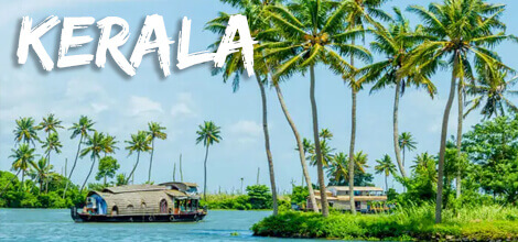 Team Building and Team Outing in Kerala